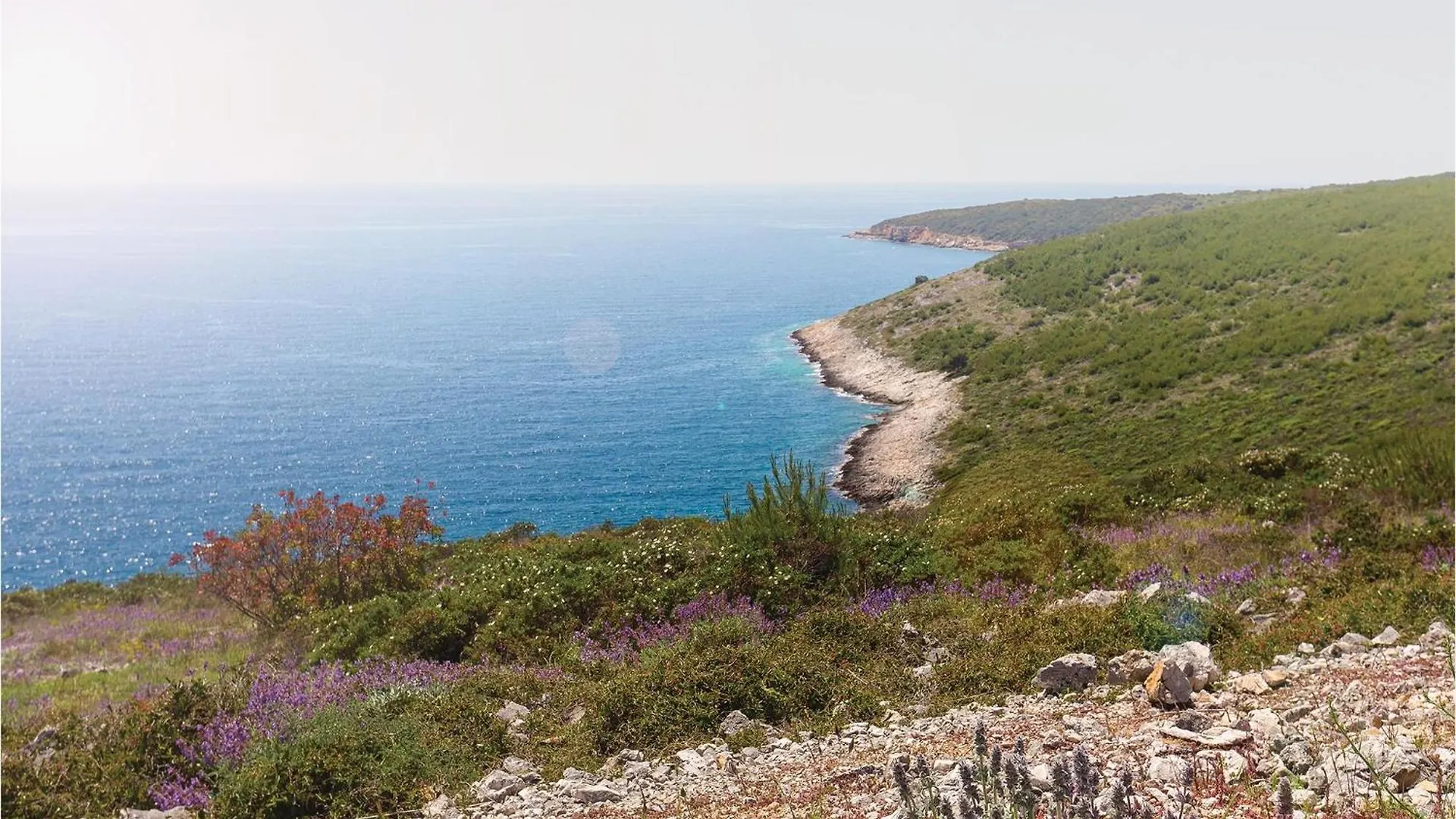 Holiday Home Premantura 02 Κροατία